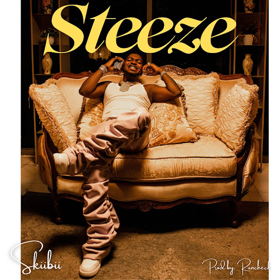 Skiibii – Steeze