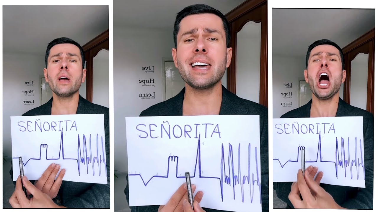 Senorita Cover Song (Harel Asaf) - #cover #song #thebest #short #funny #music 1777759750_maxresdefault.jpg
