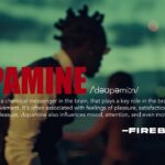 Fireboy DML - Dopamine (Official Visualizer) 1779185998_maxresdefault.jpg