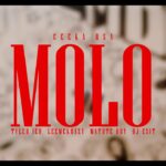 Ceeka RSA - Molo Wav.Files ft. Tyler ICU, Leemckrazy, Matute Boy, DJ Exit 1779644425_maxresdefault.jpg