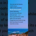 Pretty little baby (Lyrics) Connie Francis #lyrics 1779770152_maxresdefault.jpg