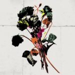 Shinedown - So Glad That You Asked (Official Audio) | from the new album EI8HT 1780868865_maxresdefault.jpg