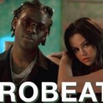 AFROBEAT VIDEO MIX 2026 |NAIJA AFROBEATS |NEW AFROBEATS 2026(Rema Calm Down Remix, Burna Boy,Wizkid) 1781511696_maxresdefault.jpg