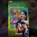 Prema Mayuri | Latest Odia Romantic Song | AAO Music Official #aaomusic #odiasong #4millionviews 1781581379_maxresdefault.jpg