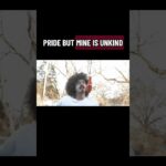 Who cookin #hiphopmusic #jcole #music #rap #undergroundmusic #rapper #music #fyp #musicdiscovery 1781590737_maxresdefault.jpg