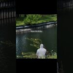Majboor - Zoha Waseem |Lyrics|Aesthetic #shorts #lyrics#aesthetic #lyricsvideo #trending #song 1781766230_maxresdefault.jpg