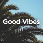 Good Vibes ๐ด Chill House Music ๐ 1782649747_maxresdefault.jpg
