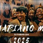 SOUTH AFRICA AMAPIANO MIX 2025 |AMAPIANO MIX 2025 ( ZENZELE, BIRI MARUNG, JEALOUSY - DJ FABIAN 254 1782722390_maxresdefault.jpg