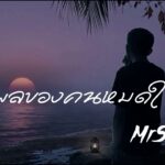 เหตุผลของคนหมดใจ - MrSad17 (Official Audio) 1783051061_maxresdefault.jpg