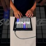 SONIC.EXE Brazilian Phonk Remix on Launchpad #music #phonk #brazilian #shorts #trollge #viral 1783683312_maxresdefault.jpg