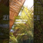 New Romantic Afrobeats! Hotter - ZIPPED ACE ❤️ 🎶 🏖️ 1783752315_maxresdefault.jpg