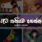 ą¶»ą·ą¶§ ą¶ą¶±ą·ą¶ŗą¶ø ą¶
ą·ą¶±ą·ą¶± ( Sad songs collection ) Slowed + reverb || Playlist 01|| ANJBEATZ 1784059637_maxresdefault.jpg