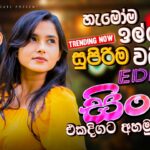 2026 Trending Sinhala Songs | Nonstop New Sindu | Bass Boosted Sinhala Songs | Viral Sinhala Sindu 1784548812_maxresdefault.jpg