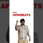 The REAL Top 5 Richest Afrobeats Artists 📈 #wizkid 1784762710_hqdefault.jpg