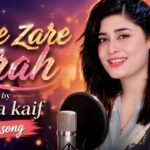 Zare Zare Zrah | Tappy | Sofia Kaif | New Pashto ูพุดุชู Song 2026 | 4K Music Video by SK Productions 1785748308_maxresdefault.jpg
