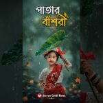 পাতার বাঁশরী | New Trending Bangla Song 2026 | Official Music Video | Viral Bangla Hit | HD#jbmusic 1787003281_maxresdefault.jpg