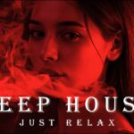 Smoke Mood - Just Relax | Chill House & Deep House Mix 🎧 Chill / Night Vibes Vol 105 / Stress Relief 1787142483_maxresdefault.jpg