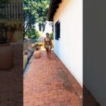 Ranger🥵🔥🔥#amapiano #trending #shorts #youtubeshorts #southafrica #dance #africa #usa #uk #me #fyp#ok 1787560868_maxresdefault.jpg