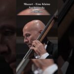 Classical Music You’ve Heard But Don’t Know the Name of 1787696761_maxresdefault.jpg