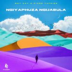 Way Kay x Piano Ya Africa _ Ngiyaphuza Ngiyajabula (Visualizer) 1787722460_maxresdefault.jpg