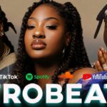 AFROBEATS 2026 PARTY VIDEO MIX | NAIJA 2026 PARTY VIDEO MIX | AMAPIANO | AFROPIANO & NAIJA 2026 1788202868_maxresdefault.jpg