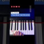 How to play „TWO BIRDS“ by Regina Spektor - Easy Piano Tutorial #pianotutorial #twobirds #learnpiano 1788331124_maxresdefault.jpg