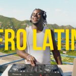 Afro Latino Mix 2026 | Beele, Kapo, Hamilton, Aria Vega | Afrobeats Latino by XOCO 1789426210_maxresdefault.jpg