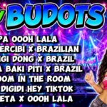 NEW VIRAL BUDOTS REMIX 2026 - NONSTOP TIKTOK DANCE TREND PARTY MIX 1789448228_maxresdefault.jpg